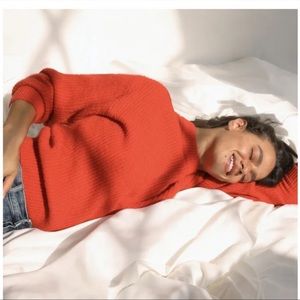 Everlane Alpaca Crew in Scarlet